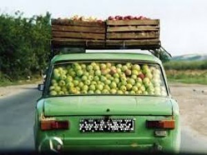 russian-apple.jpg